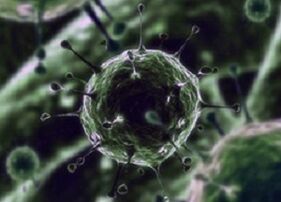 Microorganismos bacterianos como causa de prostatitis